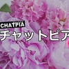 30代40代におすすめ！チャットピアの報酬や稼げるポイント3つ