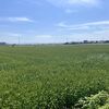 自転車に青切符制度が導入された中、大川温泉までチャリで行ってきた