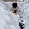 3歳5ヶ月