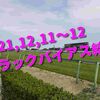 2021,12,11～12 トラックバイアス結果 (中山競馬場、阪神競馬場、中京競馬場)