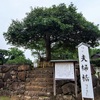 縁結びの神様「八重垣神社」は珍（チン）でした♪