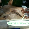 沖縄県南部を子供と観光しよう！糸満市のみで十分楽しめます♪公園