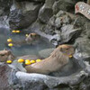 ふっふ～～～、わぁぁーぃ（と、鳥居みゆき風に）