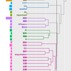 階層的クラスター分析を KH Coder で行う方法