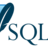 SQLiteのSQLのパラメータ化できる箇所