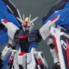 RG フリーダムガンダム レビュー