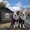 キャンプ🏕(那須高原オートキャンプ場クアトロペロス)