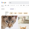 google検索で『猫』『ねこ』『ネコ』を検索すると猫の手が出てくる（笑）