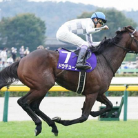 有馬記念の馬 mqdefault.jpg