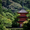 京都のシリーズ