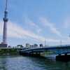 「アリージャンス〜忠誠〜」