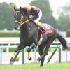 マドリードカフェが重賞初V　障害無傷の3連勝！/京都ハイジャンプ