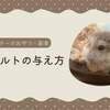 ハムスターにヨーグルトを与えるときのポイント