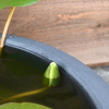 初めて！ソコソコに写ったメダカに感激