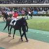 東京競馬5R パドック直前予想 ◎12 ワイルドゲーム