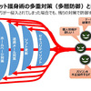 ネットの危険から自分を守る「ネット護身術」とは