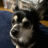 まろにー3448日目