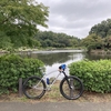 10月突入、雨～曇りの週末。
