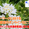 ハローワークにおける失業認定のオンライン化について