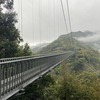 九州自然歩道　93日目　満開の桜吹雪の花道を一人歩く　宮崎県東諸県郡綾町照葉大吊橋～綾町南俣　2021年3月28日