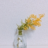 今日の覚書