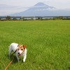 今日ノ富士山