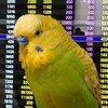 ７月１２日の相場を見てみたよ　チュン