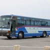 沖縄バス / 沖縄22き ・175