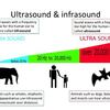 ◆TUEET(エーテルエネルギー学会) ニュースレター ◆  『音と波動：ハイパーソニック効果について』