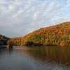 ちっちゃい島がある池の風景