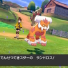 【ポケモンORAS＋剣盾コラム記事】「でんせつてきスター」の称号取ってみた