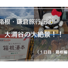 【箱根・鎌倉 2泊3日旅行記①】大涌谷の絶景に圧倒！王道観光スポットの大涌谷と早雲山テラスを堪能！