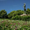 植物園　その１