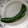 我が家のきゅうり事情🥒