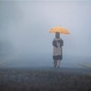 5/2〜5/10 トリを追って山に登った。