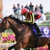 競馬初心者必見☆馬券予想🔥〜秋華賞〜クラシック組かはたまた非クラシック組か！？