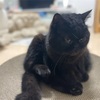 みえ松阪マラソンの目標