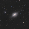 しし座の煙ったい銀河 NGC3521