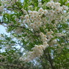 2024年5月4日（土）　ローポインターを自覚して生きる