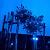 【東大駒場祭2024⑤】プラネタリウムの完成度にただただ感服。駒場祭のまわりかたは事前にウェブパンフレットで予習がおススメ。