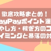 PayPayポイント運用のコツ5選！おすすめの攻略法を徹底解説！！