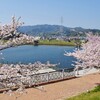 桜 ・ 藤山公園 〜 恋の池 〜 妙見山古墳  ( 2017-04-13 )