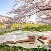 教えることが、最強の勉強法だった