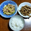 夕飯を作った！　鶏肉とネギのすき煮とゴボウの竜田揚げ。