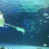 水族館