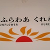 古の観光ルートを辿る旅、その１：フラッグシップふたたび、「さんふらわあくれない」乗船記。