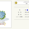 アジサイ　6月シーズンタネ