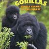 ゴリラの生態や能力を学べる英語読本 SIRシリーズStep 3から『Gorillas: Gentle Giants of the Forest』のご紹介