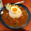 カレーの店 三つ葉（文京区本郷）の梅酒チキンカレー