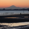 干潟ってワクワクするよなってね／ふなばし三番瀬海浜公園にて